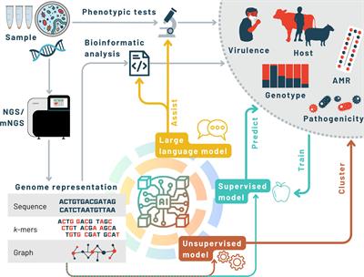 Emerging applications of artificial intelligence in pathogen genomics